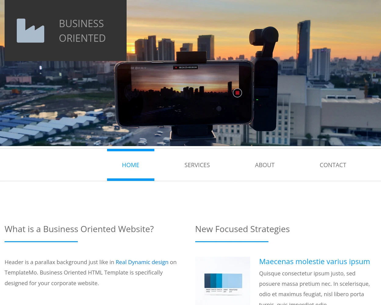 Business Oriented brochure template served on preprod-marketing.trick.htb